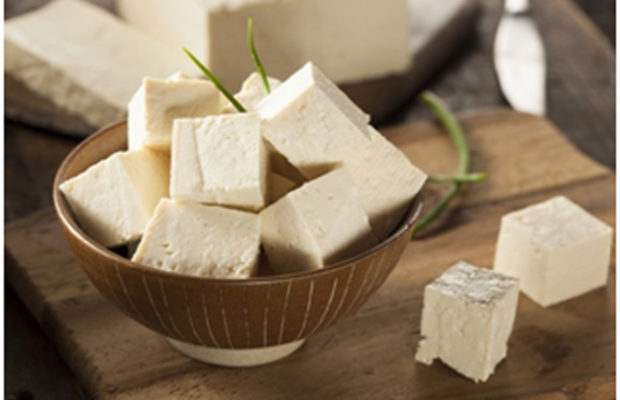 The Vegetarian’s Meat Tofu With Its Immense Health Benefits